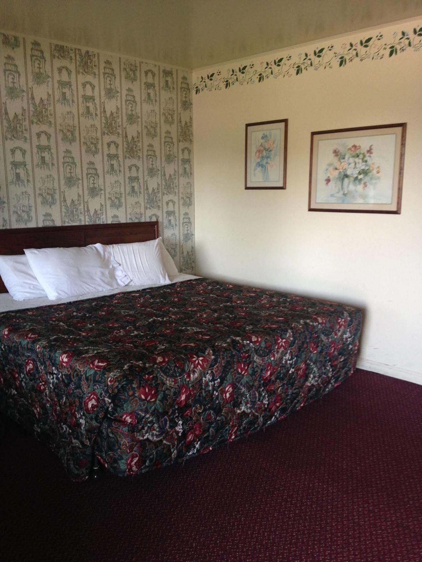Bridgeport Heidelberg Motel מראה חיצוני תמונה